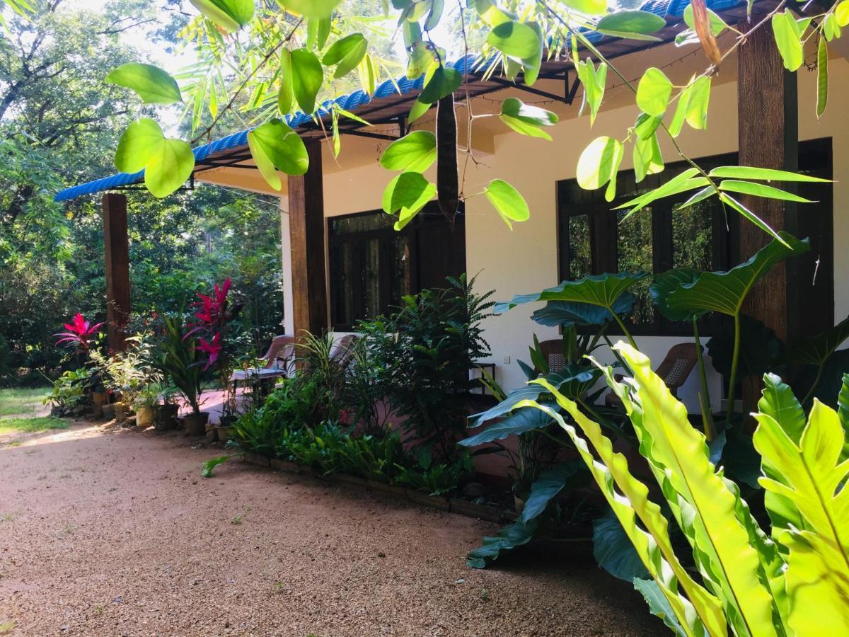 Gimansa Rest Sigiriya Apartment Ngoại thất bức ảnh