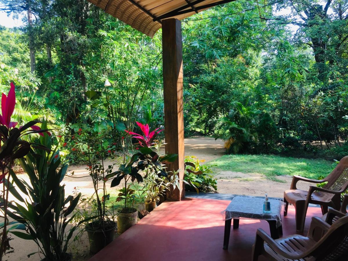 Gimansa Rest Sigiriya Apartment Ngoại thất bức ảnh